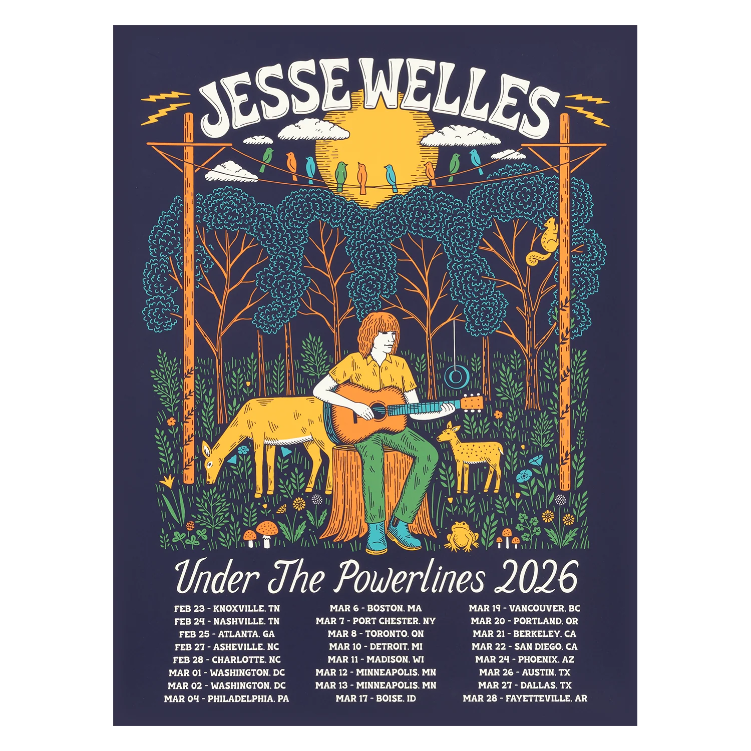 Jesse Welles 2026 live concert poster